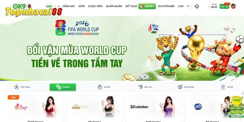 Khám phá không gian cược chất lượng top 1