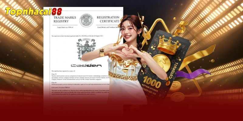 Tầm quan trọng của giấy phép hoạt động